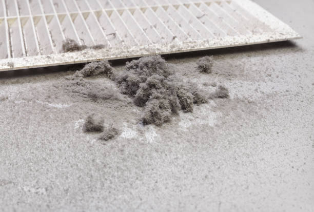 Best Air Duct Cleaning Near Me  in Georgetown, SC